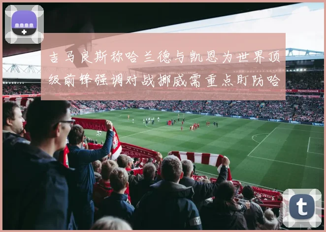 吉马良斯称哈兰德与凯恩为世界顶级前锋强调对战挪威需重点盯防哈兰德